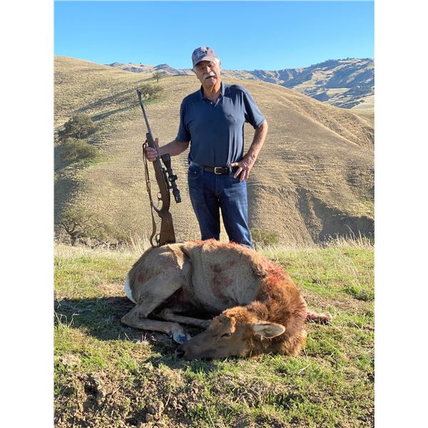 Cow Elk Hunt in California