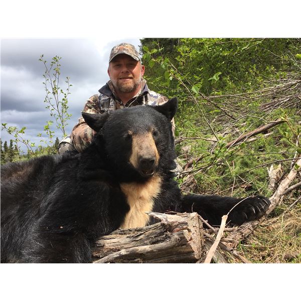 Black Bear Hunt in Canada