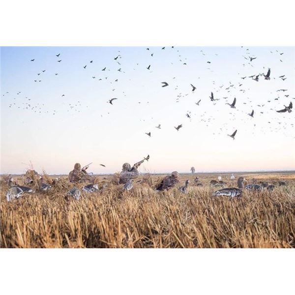 Waterfowl Hunt in Canada
