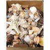 Image 1 : Shells - five boxes of shells from a movie set