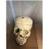 Image 1 : Skull from the School Science Lab from the Show