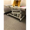 Image 1 : Hydaulic Pet Grooming Table  from the Vet Exam Room on Turner & Hooch