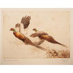 Sandy Scott, Color Etching