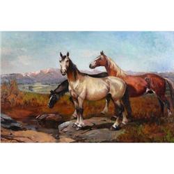 Raphael Lillywhite, Oil on Canvas