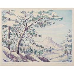 Claire Dooner Phillips, Color Etching