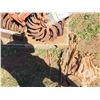 Image 6 : Pallet Lilliston Rolling Cultivator Spider Attachments