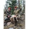 Image 2 : Wyoming Bull Elk Hunt