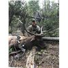 Image 4 : Wyoming Bull Elk Hunt