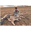 Image 1 : Trophy Whitetail Hunt in Oklahoma