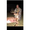 Image 2 : Trophy Whitetail Hunt in Oklahoma