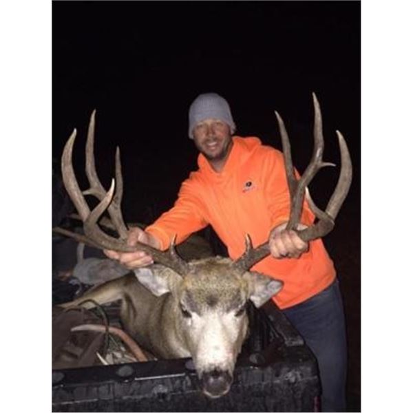 Colorado Guided Mule Deer Hunt