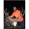 Image 1 : Colorado Guided Mule Deer Hunt
