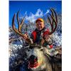 Image 2 : Colorado Guided Mule Deer Hunt