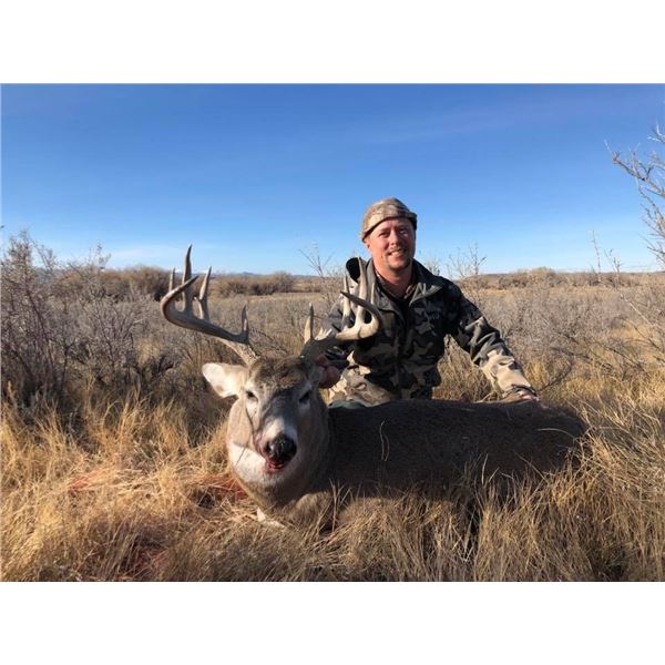 Wyoming Whitetail Hunt