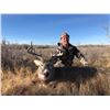 Image 1 : Wyoming Whitetail Hunt