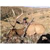 Image 3 : New Mexico Guided Trophy Bull Elk Hunt