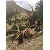 Image 4 : New Mexico Guided Trophy Bull Elk Hunt