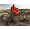 Image 3 : Utah DIY Cow Elk Hunt