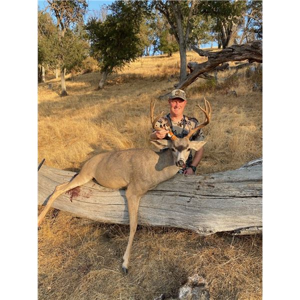 California Blacktail Hunt