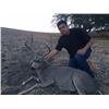 Image 4 : California Blacktail Hunt