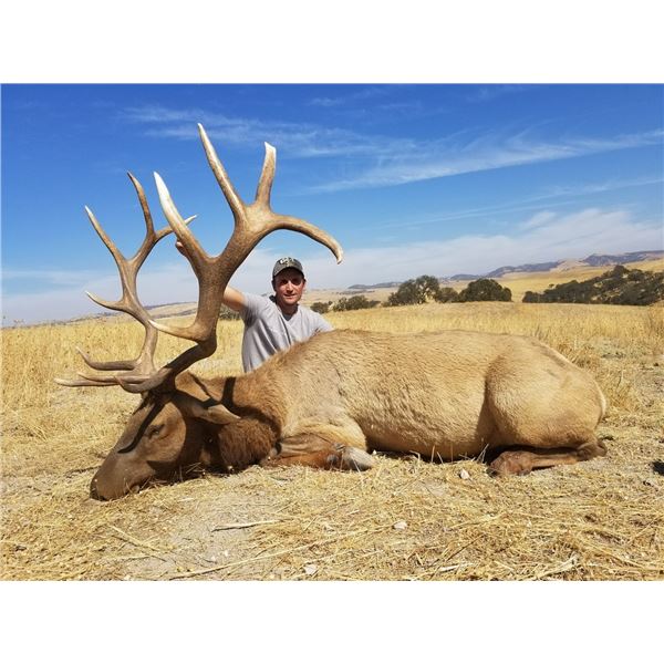 California Tule Elk Hunt