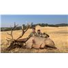 Image 2 : California Tule Elk Hunt