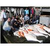 Image 1 : Alaska Salmon/Halibut Fishing Trip for 2