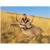 Image 1 : Wyoming Guided Rifle Mule Deer Hunt