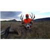 Image 3 : Wyoming Guided Rifle Mule Deer Hunt