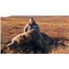 Image 2 : Alaska 7 Day Arctic Grizzly Bear Hunt