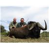 Image 2 : South Africa Plains Game Hunt for 2 Hunters
