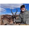 Image 3 : South Africa Plains Game Hunt for 2 Hunters