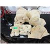 Image 1 : 5 Piece Lot of New Plush Dog Toys