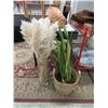 Image 1 : Pampas in Vase & Live Plant in Pot