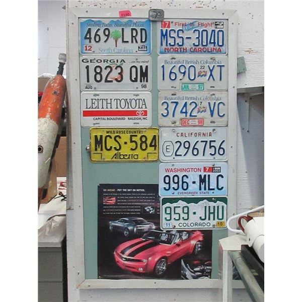 Framed License Plate Display - 28" x 48"