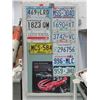 Image 1 : Framed License Plate Display - 28" x 48"