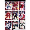 Image 37 : Parkhurst 2016-17 Red & Black parallels