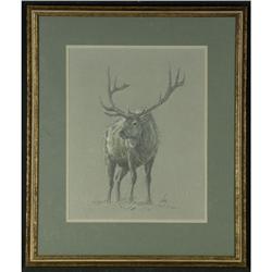 DRAWING RALPH EDWARD OBERG DEER WESTERN