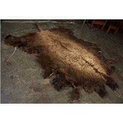 AMERICAN BISON OR BUFFALO SKIN