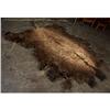 Image 1 : AMERICAN BISON OR BUFFALO SKIN