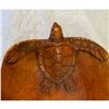 Image 7 : Handcarved Wooden Sea Turtle Bowl