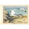 Image 2 : 1920's Herring Gull Color Lithograph Print