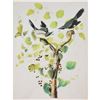 Image 1 : c1946 Audubon Print, #57 Loggerhead Shrike