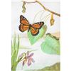 Image 1 : 1920's Viceroy Butterfly Color Lithograph Print