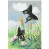 Image 1 : 1920's Green-Clouded Swallowtail Butterfly Color Lithograph Print