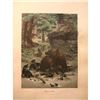Image 2 : 19thc Hand-colored Engraving, Bruin Bear