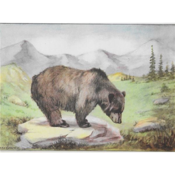 1920's Grizzly Bear, Color Lithograph Print