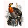 Image 1 : Pheasant Bird Ceramic Art Tile