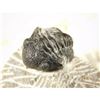 Image 10 : 400 Million Year Old Trilobite Fossil Specimen