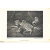 Image 2 : Early 1900's Half-tone Print, #500 The Cat Family